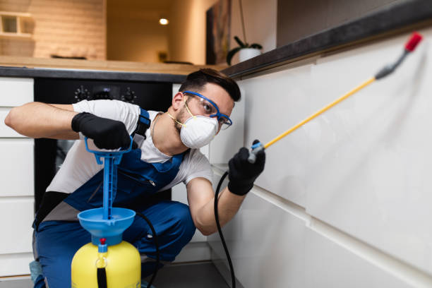 Reliable Linntown, PA Pest Control Solutions