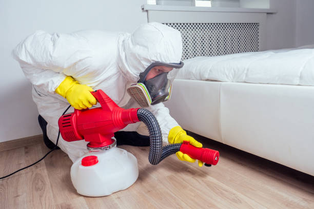 Best Bed Bug Extermination  in Linntown, PA