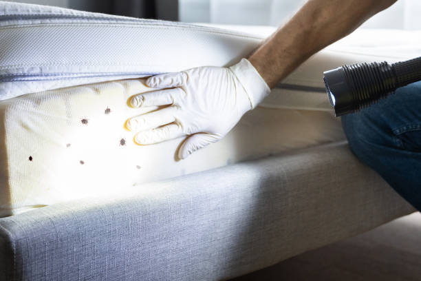 Best Pest Control Near Me in Linntown, PA