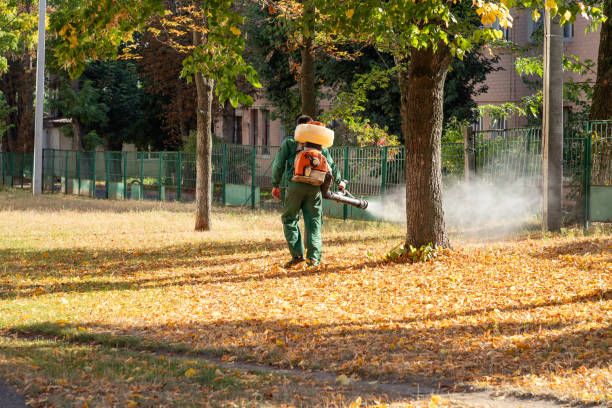Best Pest Prevention Services  in Linntown, PA