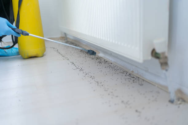 Best Cockroach Control Services  in Linntown, PA