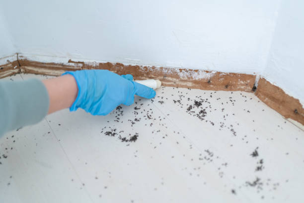 Best Wildlife Control Services  in Linntown, PA